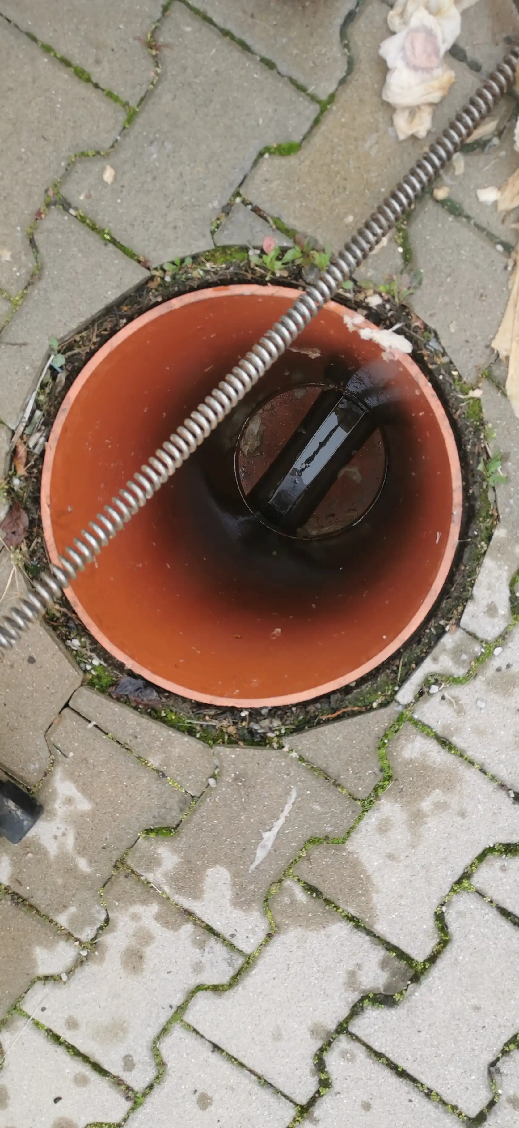 Špirála
